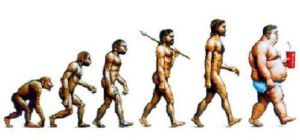 evolution of obestity